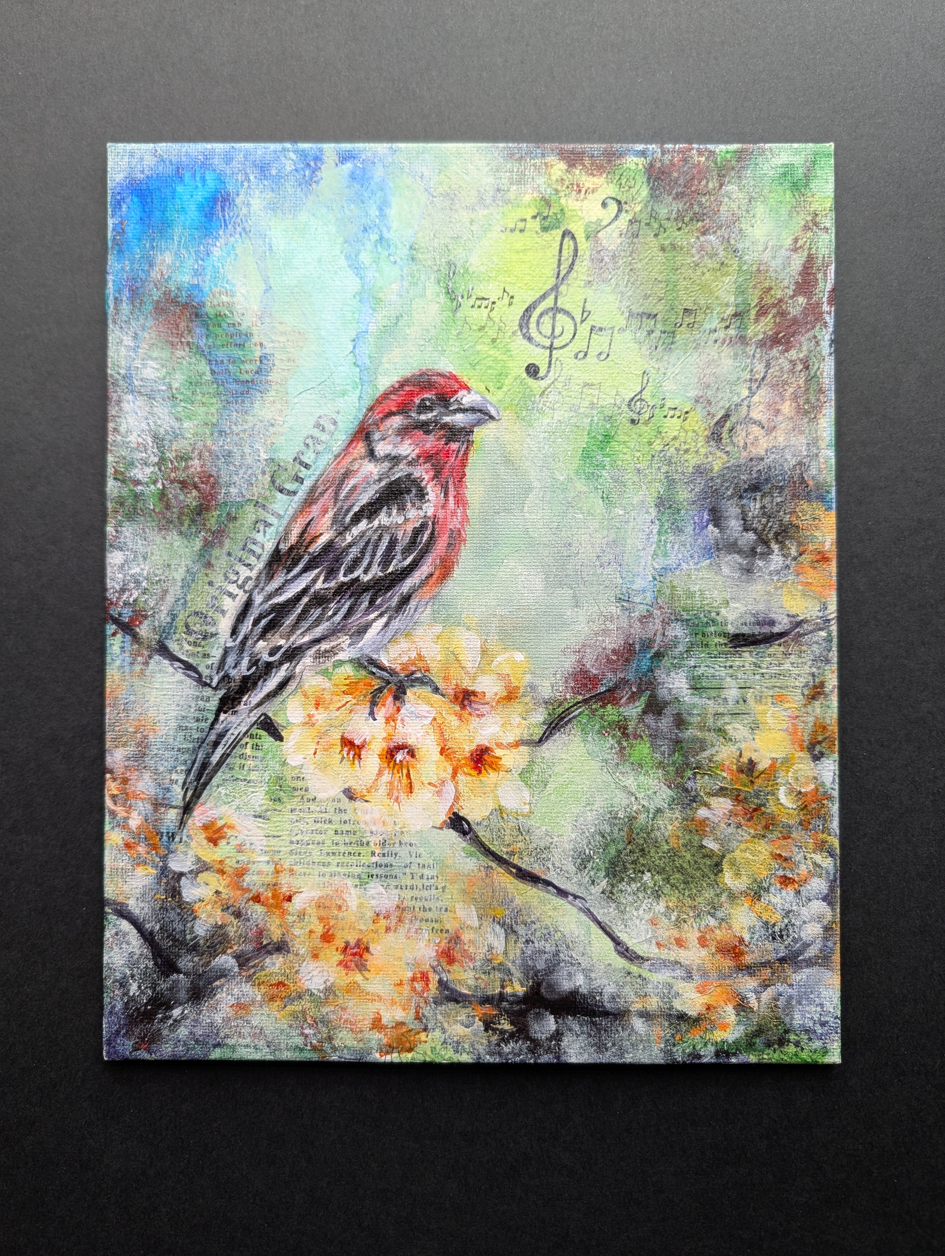 " Morning Harmony"